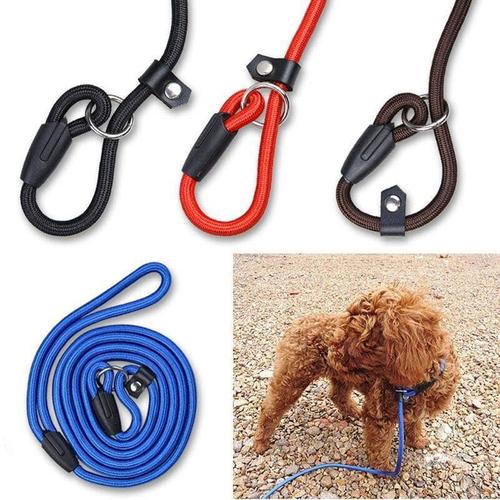 Foto Produk Tali Kalung Anjing Dog Slip Lead Cesar Milan Leash Collar size L dari Harley Shop