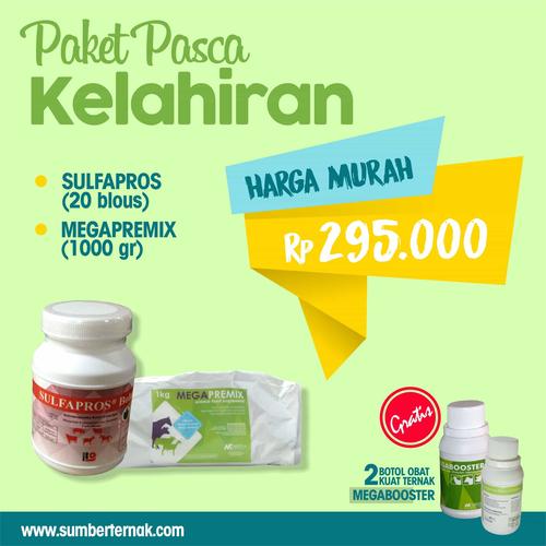 Foto Produk Paket Pasca Kelahiran ( SULFAPROS BOLUS-MEGAPREMIX ) dari Distributor Peternakan