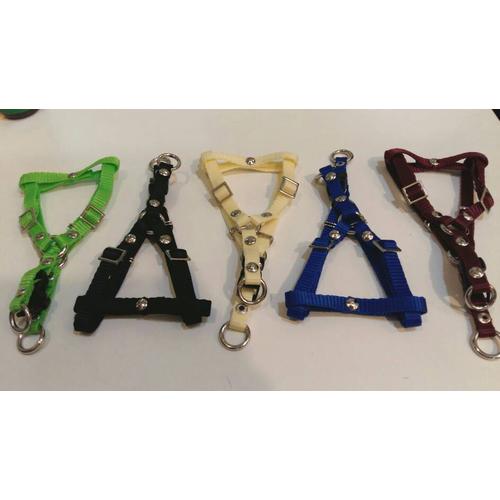 Foto Produk Harness Y tali kekang tali badan anjing kucing musang kelinci puppy dari cicilia Goen Shop