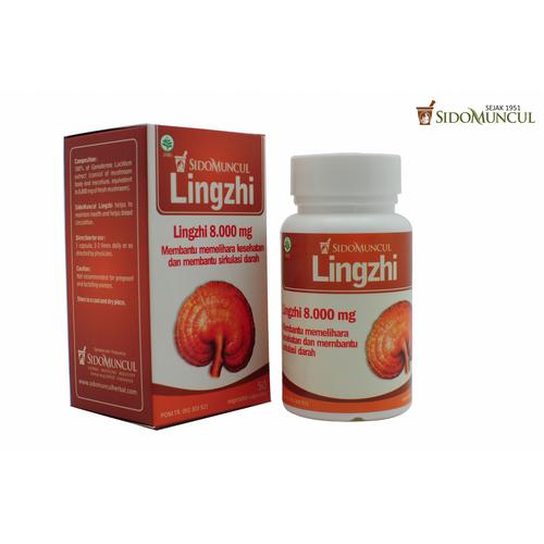 Foto Produk LINGZHI JAMUR 1000 KHASIAT KESEHATAN dari duniaherbal123