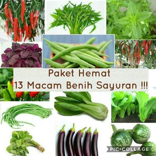 Foto Produk Paket Hemat Benih 13 Jenis Sayuran Plus Bonuss dari Panda Farm
