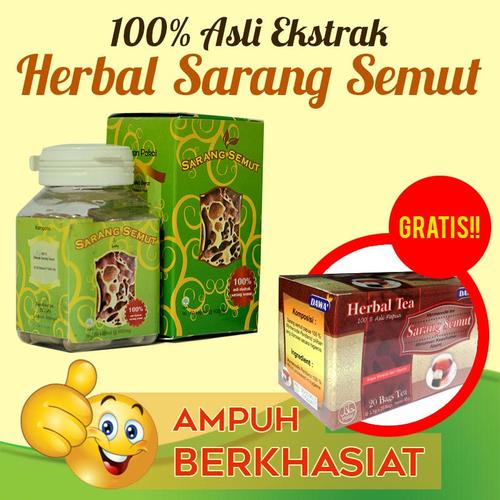 Foto Produk Kapsul Sarang Semut papua dari Herb Alami