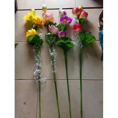 Jual Bunga Teratai Kota Batam Maspel Batam Tokopedia