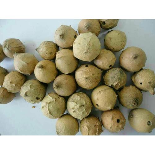Jual Buah Manjakani Majaan 250gr Kab Bantul Ngremboko Herbal Tokopedia
