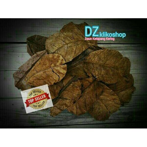 Jual DAUN KETAPANG KERING - PAKAN MAKANAN UDANG OBAT JAMUR KUTU IKAN