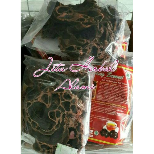 Foto Produk SARANG SEMUT ASLI PAPUA dari Jitu Herbal Alami