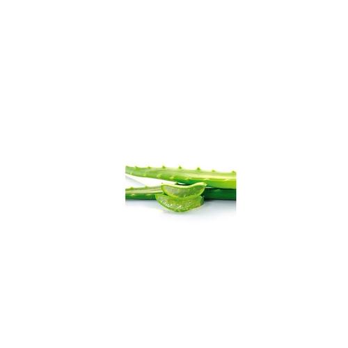 Foto Produk Aloe Vera Extract Lidah Buaya Cosmetic Grade dari Adista