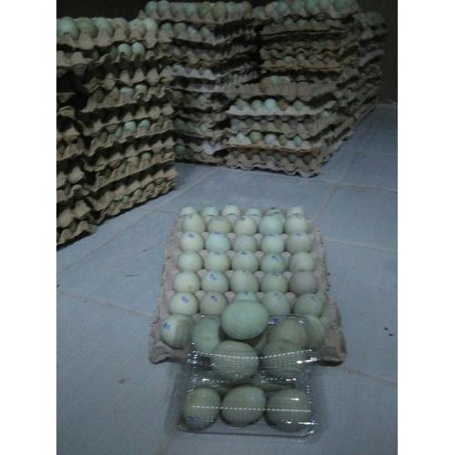Jual Telur Asin Masir Kab Klaten Rejekimanis 