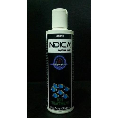 Foto Produk Magna INDICA Anti White Spot dari Java Reef