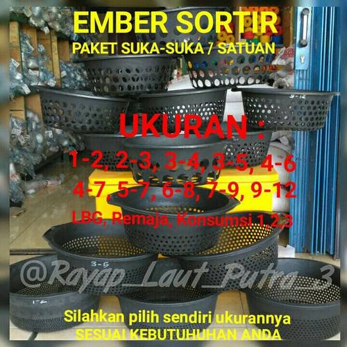 Foto Produk EMBER SORTIR LELE PAKET SUKA - SUKA/SATUAN (PENGIRIMAN HANYA VIA POS) - 1-2 dari RAYAP LAUT PUTRA