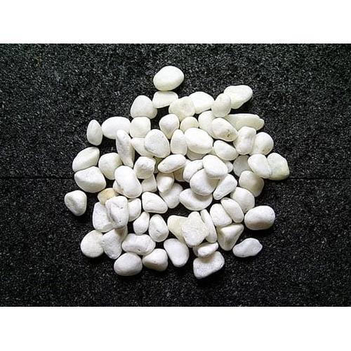 Jual Batu Kerikil Italia Putih Dekorasi Tanaman Terrarium Batu Kecil Kota Bekasi Hayuna Garden Tokopedia