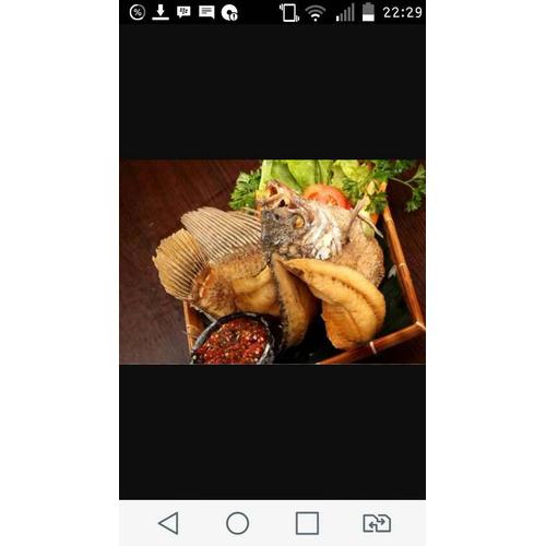 Foto Produk Gurame Goreng Terbang dari Bakulan Double R