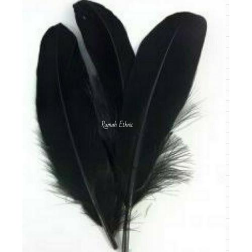 feather goose