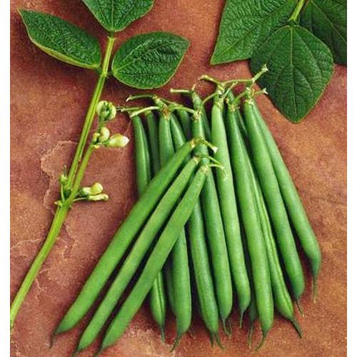 Foto Produk Baby Buncis (Baby Bean) 250gr dari Alicia Homeware Shop
