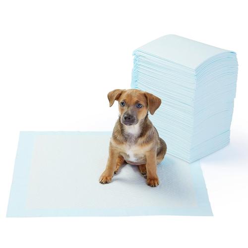 Foto Produk Pee Pad Training Popok Anjing Kucing Serap Air dari Hime petshop