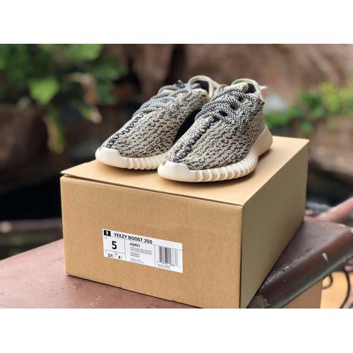 turtle dove v1