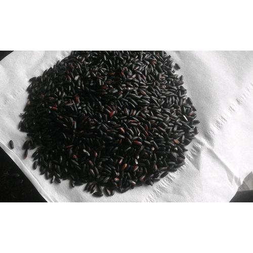 Jual Beras Ketan Hitam Bandung Asli 50kg Best Kota Surabaya Botol Custom Store 