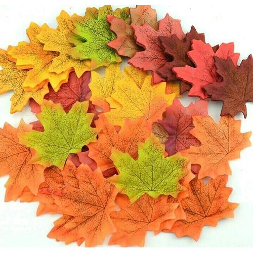 Foto Produk Daun Anggur Maple Warna-Warni dari Hans and Me