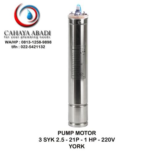 1 PHASE - SUBMERSIBLE PUMP - YORK 