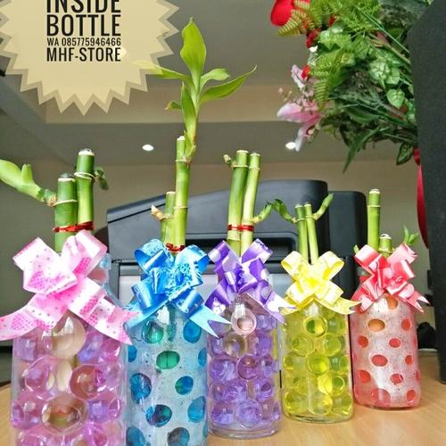 Foto Produk Tanaman hydrogel hidrogel bambu hoki hiasan meja kerja, meja makan dll dari mhf-store