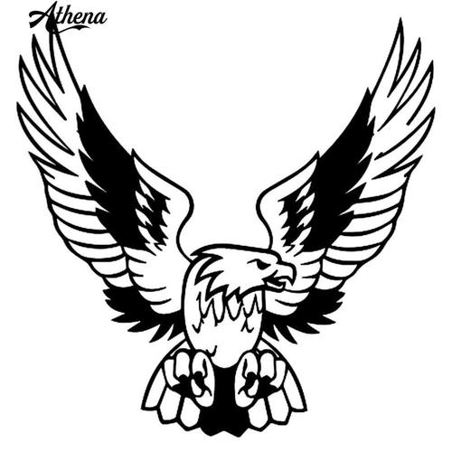 92 Gambar Burung Elang Hitam Putih Keren Terbaik