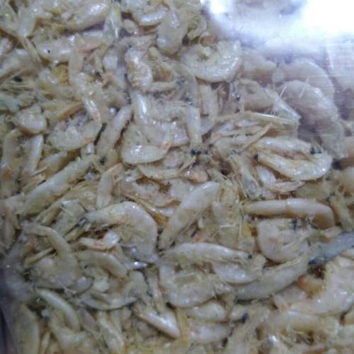 Foto Produk udang kering laut 100gram utk makanan anak kura size 2cm sd 5cm dari Toko Idelekdesain