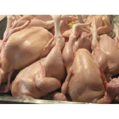 Jual Ayam Utuh Segar Ukuran Hidup 1 8 Kg Jakarta Barat Berkah Broiler 
