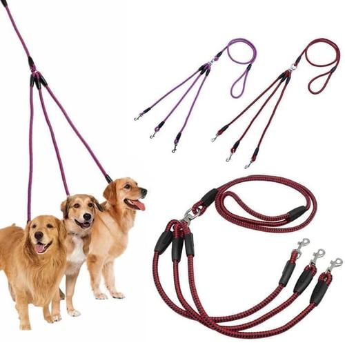 triple dog lead