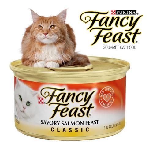 fancy feast salmon