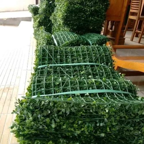 Foto Produk tanaman hias rambat dolar sintetis artificial - daun palsu hiasan dari probit store