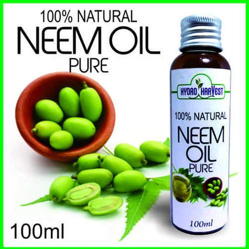 Gambar NEEM OIL PURE 100ML MINYAK BUAH NIMBA murah dari Helook shop undefined Tokopedia