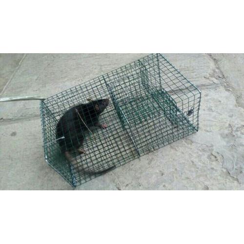 Jual Perangkap Tikus Massal Keranjang Jakarta Utara Ud Thanisa Tokopedia