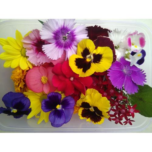 Foto Produk Mix edible flower dari MagnoFlorist