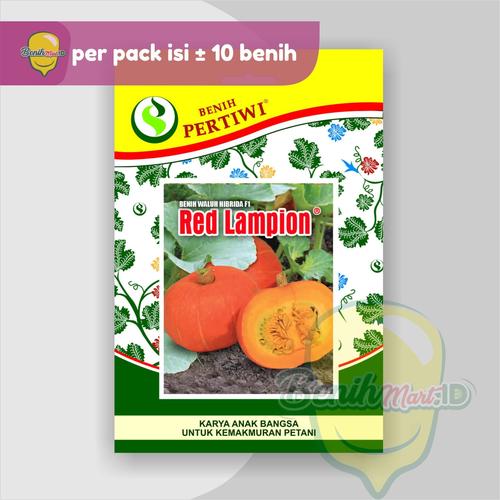 Foto Produk Benih Waluh Hibrida RED LAMPION dari benihmart.id
