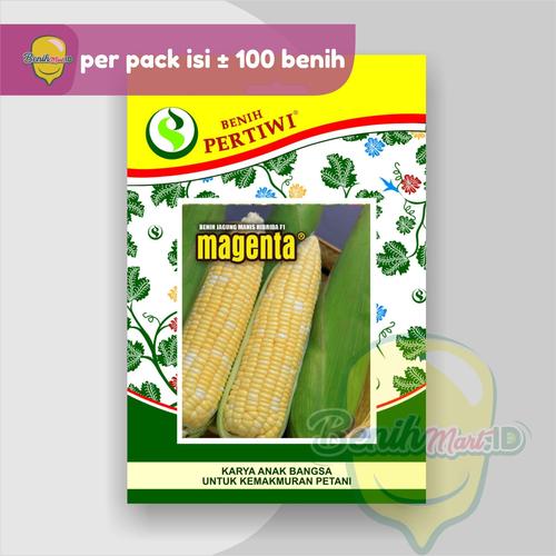 Foto Produk Benih Jagung Manis Hibrida MAGENTA dari benihmart.id