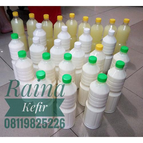 Foto Produk Susu kefir kambing 500ml dari Raina Milk Kefir