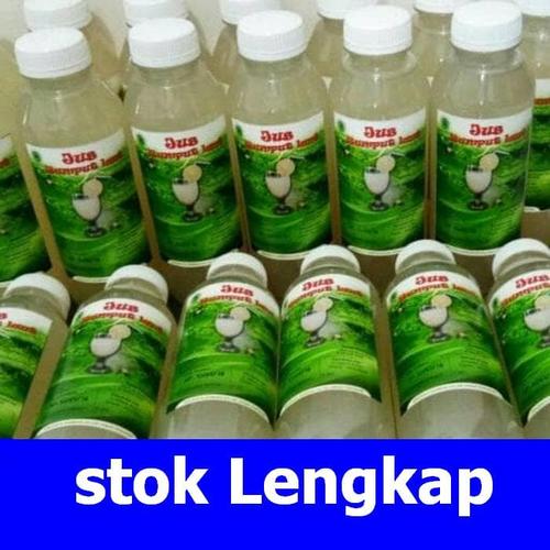 Foto Produk Jus Rumput laut 500ml Laris dari Toko Buku 21