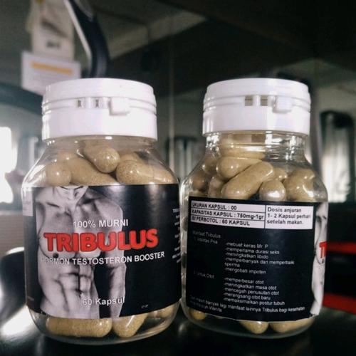 Foto Produk TRIBULUS HORMON TESTOSTERONE 30 dari Herbal_Halal