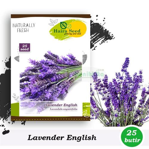 Foto Produk Benih-Bibit Bunga Lavender English (Haira Seed) dari benihkita