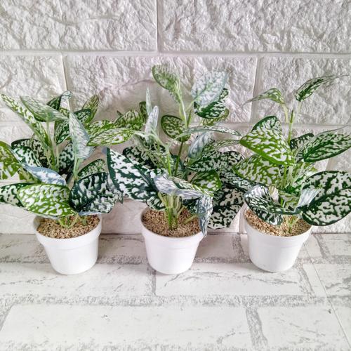 Foto Produk daun plastik bunga artificial plastik dekorasi rumah dari Ditari shop