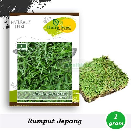 Gambar Benih-Bibit Rumput Jepang (Haira Seed) dari benihkita Kota Depok Tokopedia