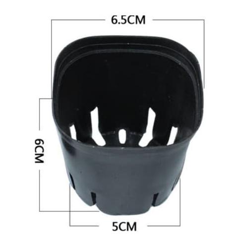 Gambar Pot Semi Kotak Mini Pot Succulent Kaktus Black dari Biji Benih Kota Medan Tokopedia