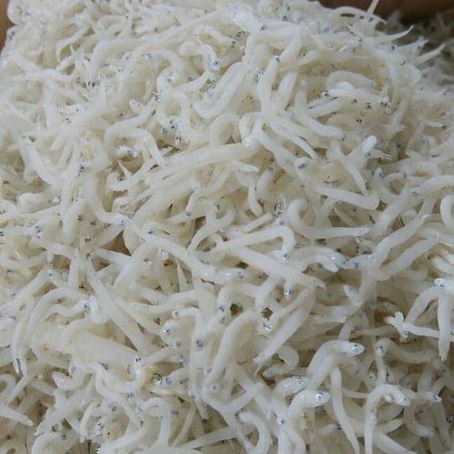 Foto Produk Teri / Teri medan / Teri Nasi / Teri Medan Murah dari Ikanlover