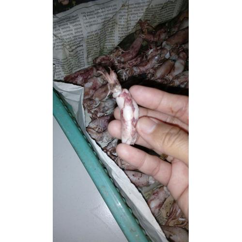 Foto Produk Cumi / Cumi Asin / Sotong / Sotong Asin dari Ikanlover
