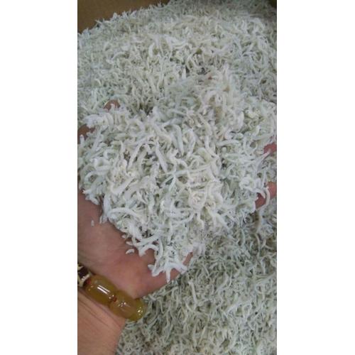 Foto Produk Teri Medan / Teri Nasi / Teri Medan Toge dari Ikanlover
