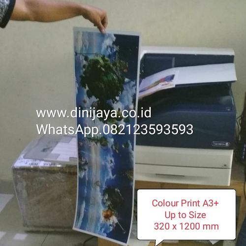 printer a3  murah