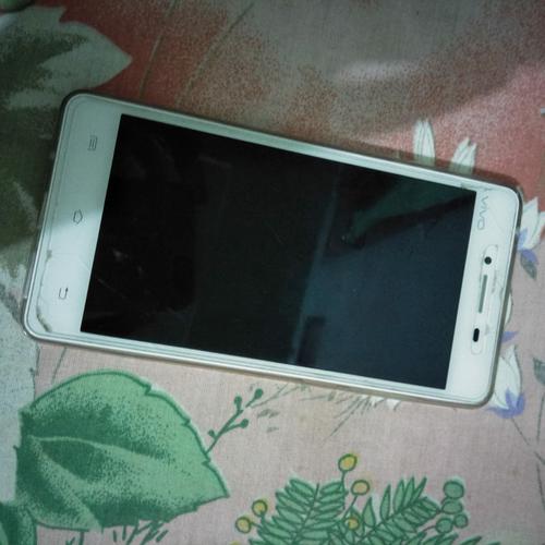 Jual Vivo Y51l Second Mulus Putih Jakarta Utara Dapoernajrah Tokopedia