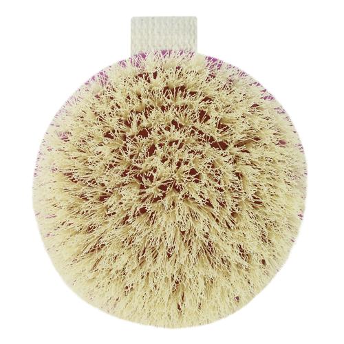 Foto Produk Eco Tools 7425 dry brush dari Ecotools
