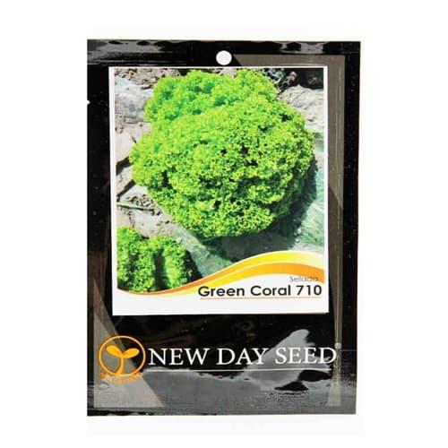 Foto Produk Benih New Day Seed Selada Green Coral – 0.5 Gram dari BB Seed