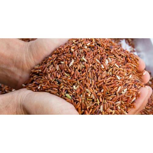 Jual Beras Merah Kota Payakumbuh Toko Beras Ari 